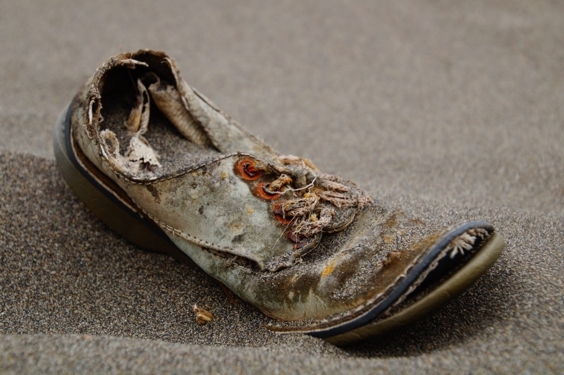 abandoned, crustacean, animal wildlife, animal body part, old, close-up, animals in the wild, unpaired, land, lace, outdoors, sneaker, food and drink, black