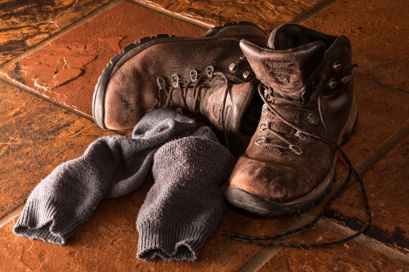architecture, brown, worn out, boot, animal themes, relaxation, indoors, day, work, no people, shoe, mammal, pair, leather, laces, animal, old, protective clothing