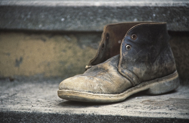tilted, animal, from the shoes, scan kb dia, vertebrate, unpaired, outdoors, old, animals in captivity, morbid, wall, animal themes, animal body part, one animal