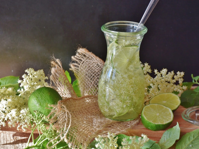nature, canning, lemon, spicy, drink, no people, vase, citrus fruit, drinking glass, food, stock, closure, slice, refreshment, food and drink, lime, detox
