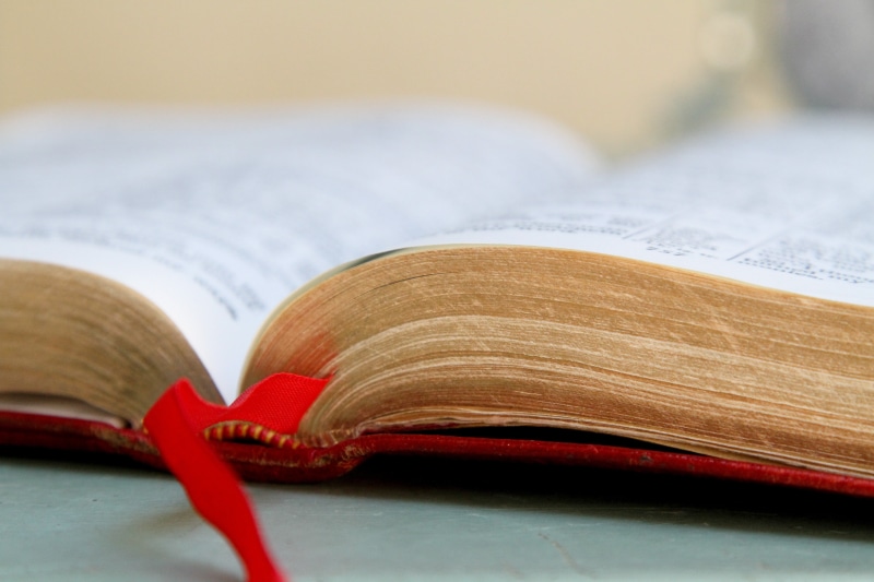 still life, open bible, gray, text, no people, learning, paper, religious, wisdom, faith, spirituality, hardcover book, communication, studying, study