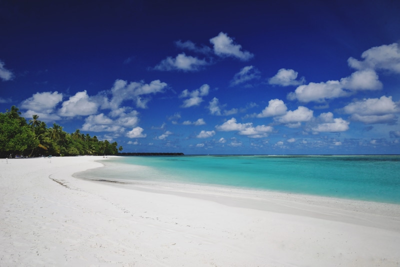 day, 5K, idyllic, lagoon, no people, nature, land, sky, outdoors, sea, sand, non-urban scene, blue, beach, maldives, tranquility, beauty in nature, palm tree
