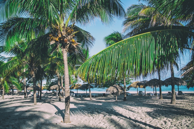 water, Varadero, varadero, no People, sunlight, tropical Climate, blue, perfect, idyllic, cuba, palm trees, caribbean, tranquil scene, day, travel, coastline