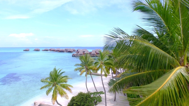 sand, green color, sea, boracay island, palm tree, vacation, outdoors, overwater, caribbean, growth, beach, land, coconut palm tree, tree, aerial, nature
