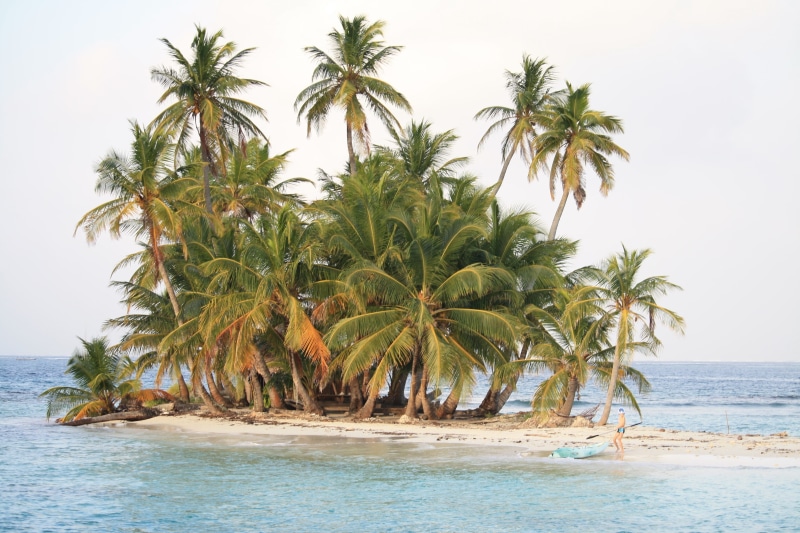 coconut, summer, scenics - nature, ship, pirates, tropical climate, tropical tree, ocean, sky, sea, tree, water, palm tree, seychelles, horizon, growth