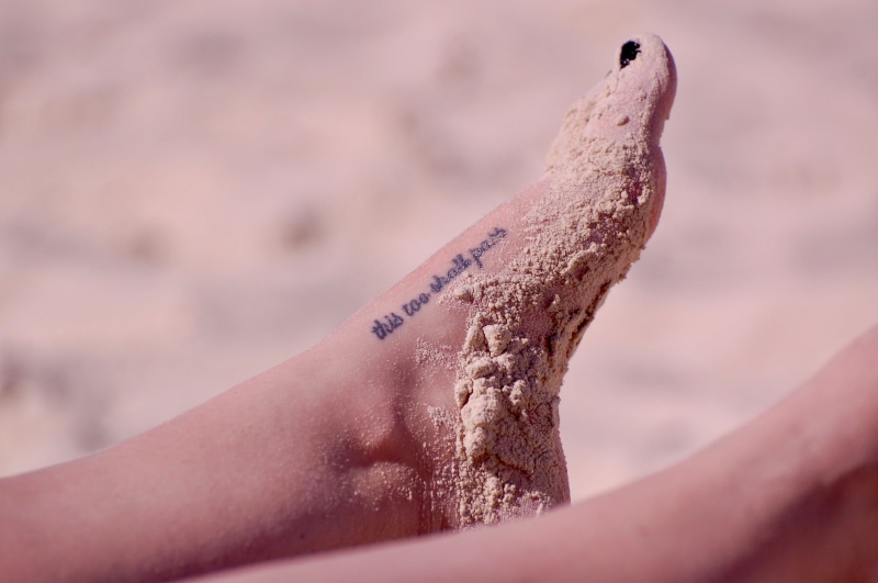 focus on foreground, sibonne beach hotel, real people, beach, selective focus, human body part, animal wildlife, land, ocean, sand, human finger, turks and caicos islands
