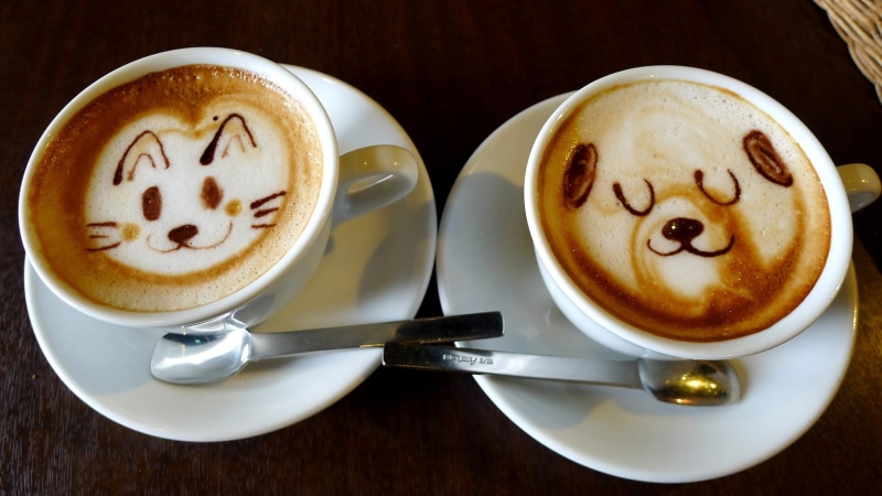 caffeine, brown, sugar, chocolate, hot, milk, plate, liquid, cappuccino, break, 1080P, foam, delicious, coffee, saucer, beverage, morning, mug, black