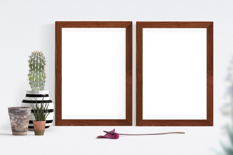 mockup, interior, shelf, art and craft, cut out, home interior, picture, template, plant, frame, 5K, wood - material, decorative, picture frame, group of objects
