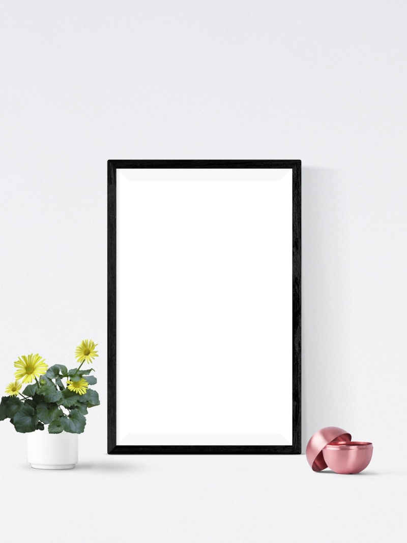 copy space, empty, plant, cut out, 2K, mockup, gallery, table, mock, indoors, decoration, frame, message, flowering plant, wall, flower, poster, canvas