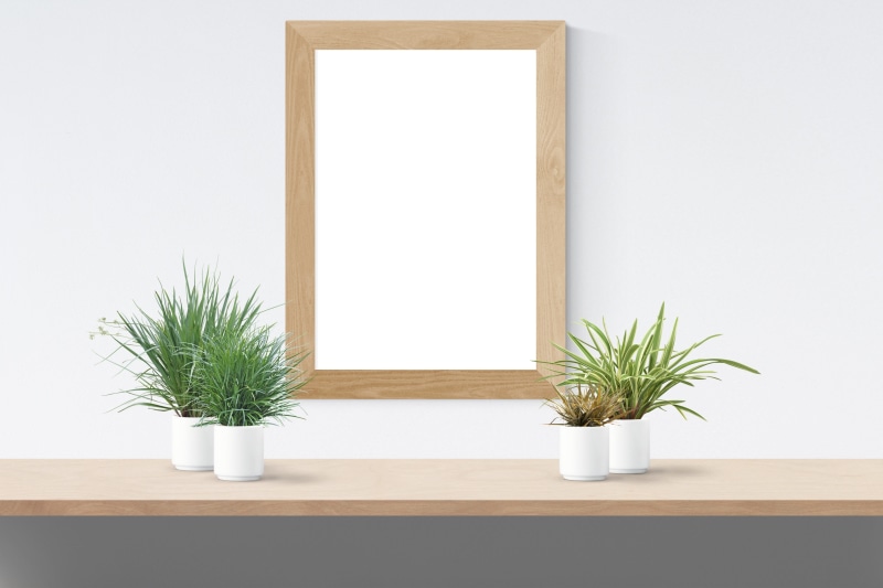 houseplant, rectangular, nature, frame, day, indoors, mockup, wall - building feature, growth, copy space, no people, wooden, brown, home interior, interior