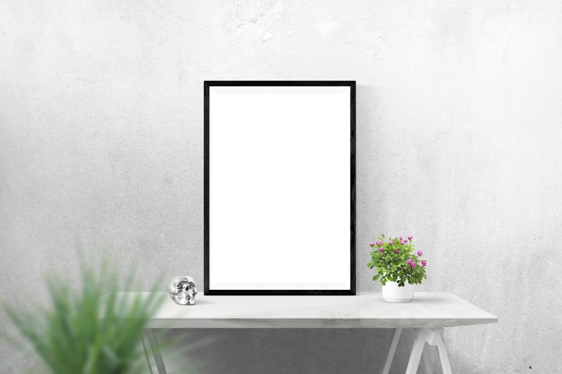 canvas, flowering plant, plant, blank, computer, vase, modern, wall - building feature, flower pot, picture frame, plain, copy space, black, beside, pink