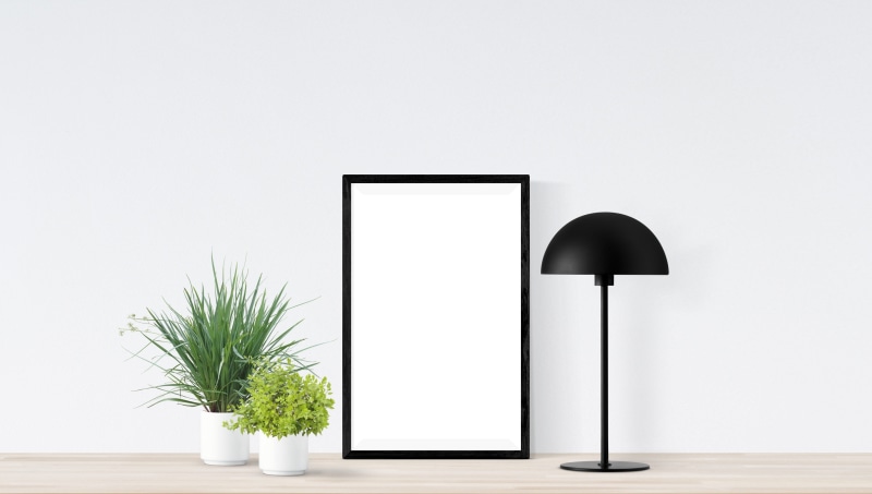 poster, realistic, white color, studio shot, 5K, plant, technology, modern, gallery, black color, white background, canvas, electric lamp, decoration