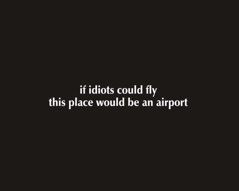 funny, text, hd, idiots, entertainment, art, x, fly, 720P, airports