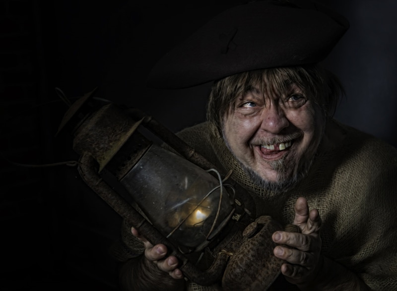 1080P, portrait, Village Idiot, humor, treatment, the village idiot