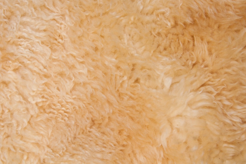 sheepskin, textured effect, full frame, lambskin, tanning, no people, use, backgrounds, animal hair, structure, close-up, sheep, background, wool, fund