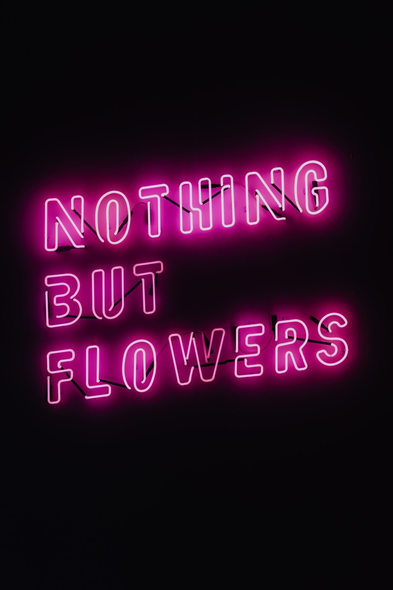 nothing, light - natural phenomenon, łódź design festival, night, studio shot, dark, text, sign, nightlife, quote, no people, 5K, pink, illuminated, copy space
