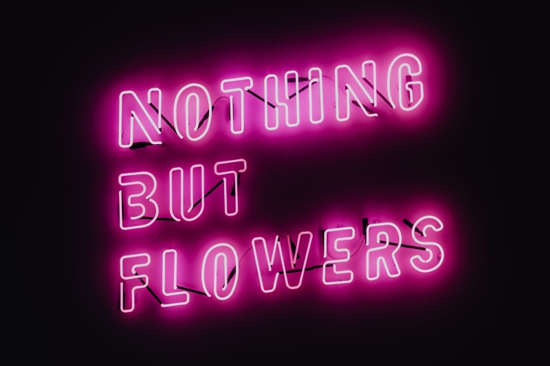 night, text, lighting equipment, single word, nothing, message, glow, quote, pink, neon colored, communication, illuminated, pink color, nightclub, 4K