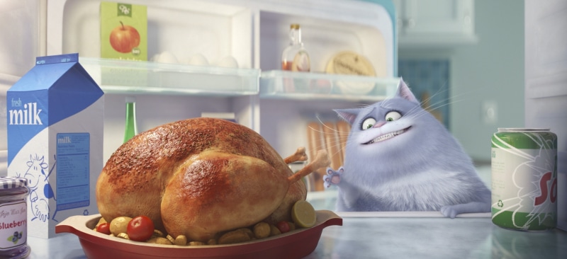 pet, kitchen, indoors, white meat, no people, hunger, gray, Chloe, 2K, comedy, meat, celebration, day, cat, official, illustration, chicken
