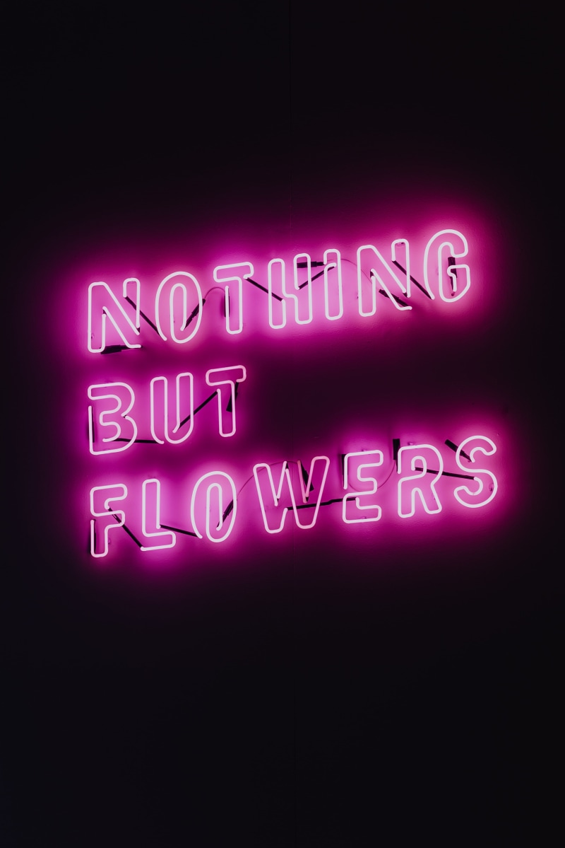 communication, pink color, music, western script, light - natural phenomenon, light, night, ŁDF, flowers, quote, no people, text, lodz design festival