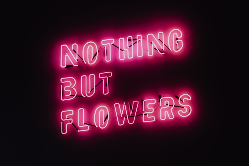 quote, night, clubbing, nothing, illuminated, ŁDF, pink, pink color, message, western script, neon colored, red, sign, studio shot, neon, single word, music