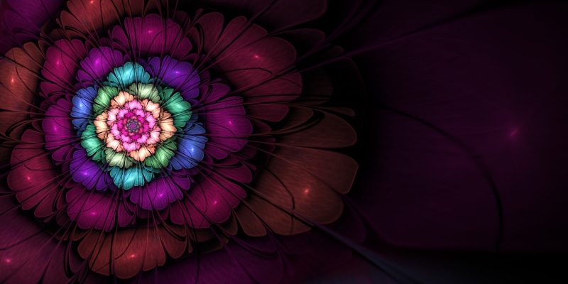 digital art, fractal, design, flower, nature, Fibonacci sequence, electric lamp, 4K, close-up, dark, beauty in nature, purple, golden ratio, mathematics
