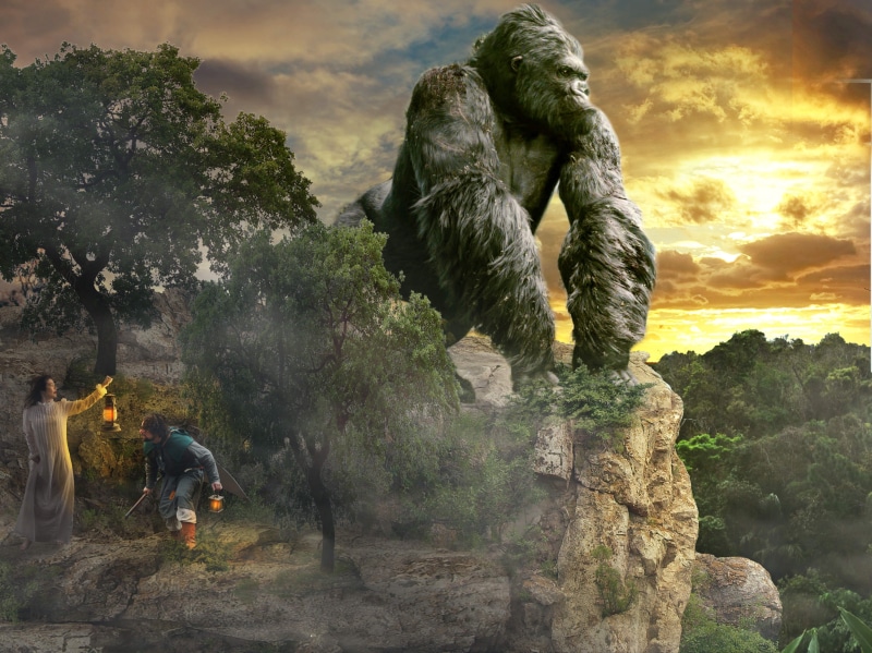 art and craft, kong, risk, nature, real people, day, plant, solid, cloud - sky, people, gorilla, statue, rear view, adult, tree, sculpture, king
