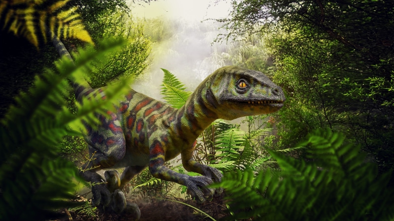predator, close-up, one animal, sunlight, animal, animal wildlife, tree, dinosaur, iguana, beauty in nature, day, forest, animal themes, risk, outdoors
