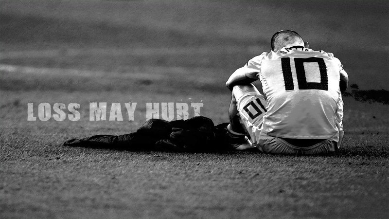 defeat, wesley, sneijder, netherlands, 1080P