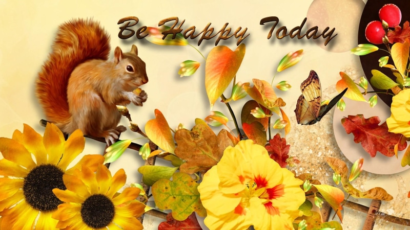 flowers, suqirrel, 3d and abstract, leaves, yellow, fall, bright, brown, autumn, today, happy, 1080P, butterfly, sunflower, squirrel