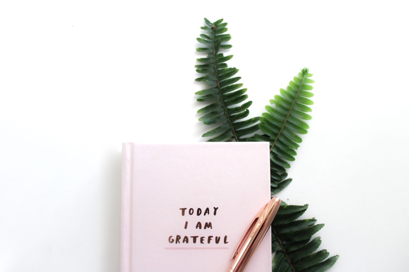 indoors, desk, plant, christmas, fern, blog, text, high angle view, note pad, gold, pen, flatlay, grateful, message, girly desk, close-up, note book, flat