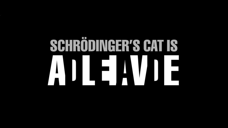 simple, Schrodinger Cat, 1080P, text, artwork, black background, typography, science, Schrödinger