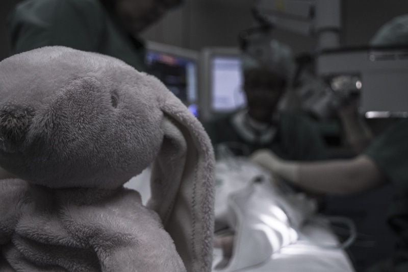 toy, day, machinery, gray, elephant, vehicle interior, plush, rabbit, protective mask - workwear, focus on foreground, mode of transportation, strength
