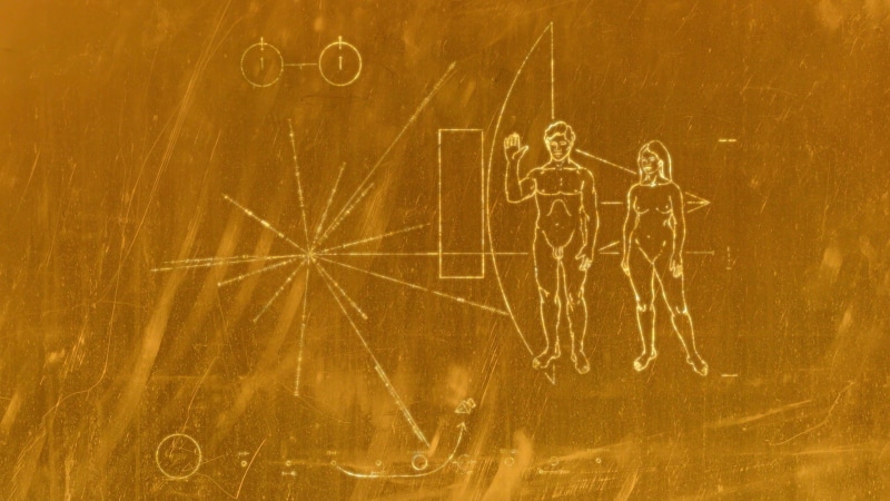 orange color, gold colored, men, shape, artwork, art and craft, number, 1080P, Voyager Golden Record, dirty, no people, NASA, black color, indoors, directly above