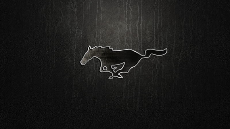 drawing - activity, message, no people, logo, blackboard, sign, creativity, chalk drawing, night, animal representation, text, representation, close-up