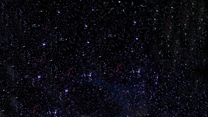 black background, hand-held telescope, galaxy, space, constellation, 1080P, globular star cluster, sky, star, star field, scenics - nature, bright, nature