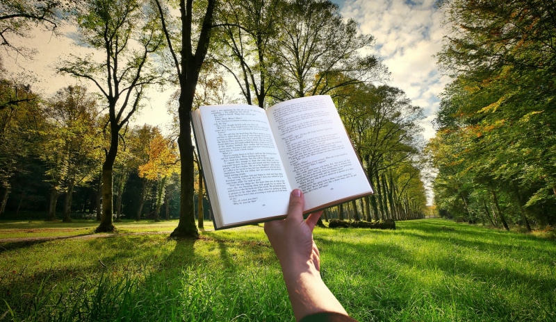 holding, trees, read, grass, plant, 2K, book, hand, growth, held, land, real people, outdoors, tree, one person, dictionary, information, park, education