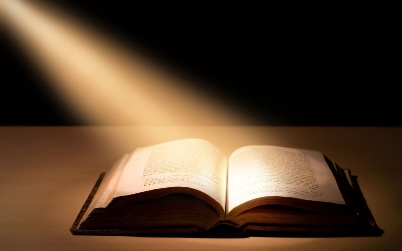 studio shot, table, religion, shadow, bible, paper, light, no People, open, praying, backgrounds, 2K, studying, expertise, page, single Object, wisdom