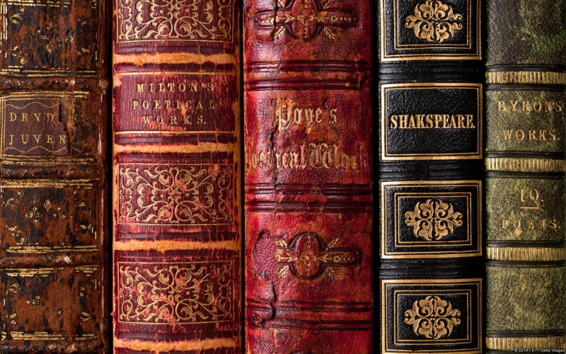 William Shakespeare, learning, 1080P, red, hardcover book, indoors, literature, studying, no people, floral, antique, books, book, bookshelf, classical style