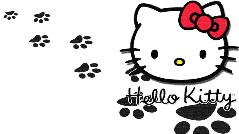 1080P, cat, communication, high angle view, western script, studio shot, white color, art and craft, copy space, kittens, large group of objects, creativity