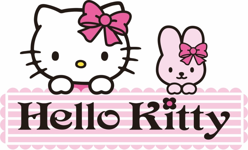 hello kitty photography, message, sign, flowering plant, white background, close-up, indoors, communication, western script, flower, no people, nature