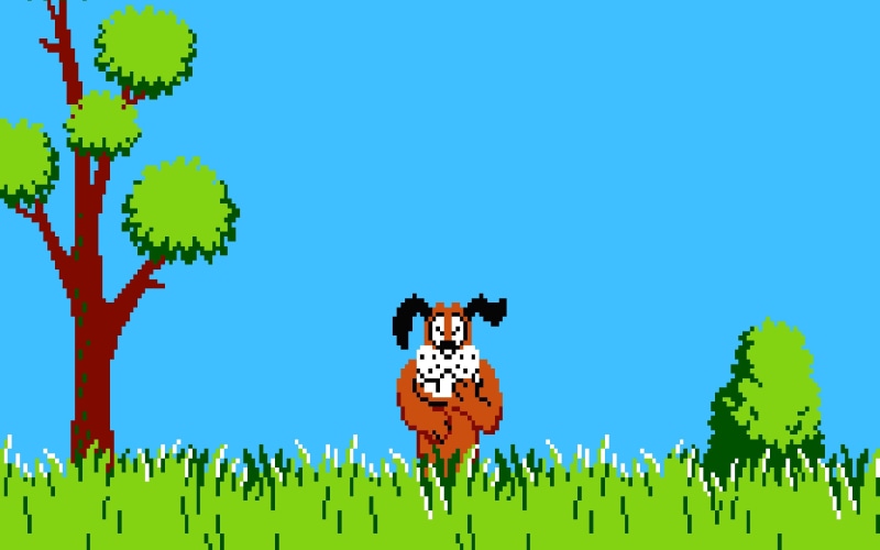 beauty in nature, Nintendo Entertainment System, animal, duck, mammal, 2K, no people, day, Duck Hunt, blue, 8-bit, nature, nostalgia, low angle view, livestock