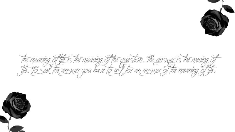 no people, errors, spelling errors, paper, studio shot, non-western script, 1080P, communication, writing, text, whiteboard, cut out, rose, white background