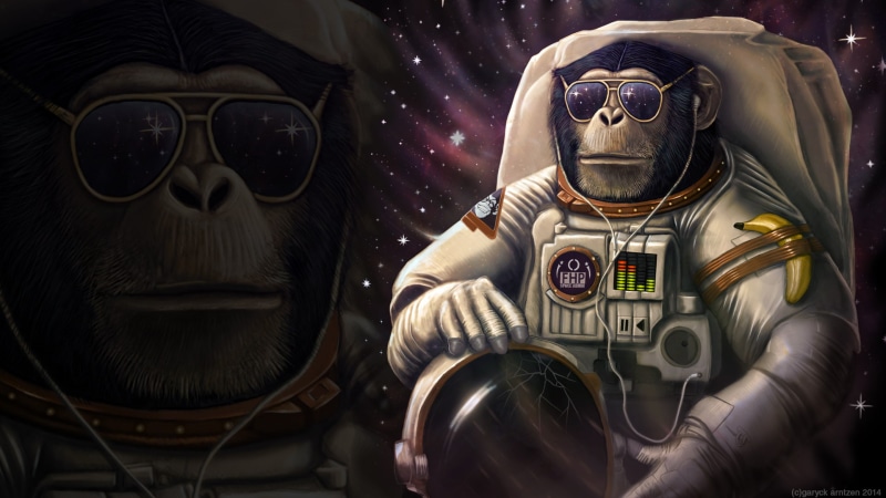 monkey, 1080P, astronaut, sunglasses, banana, wtf
