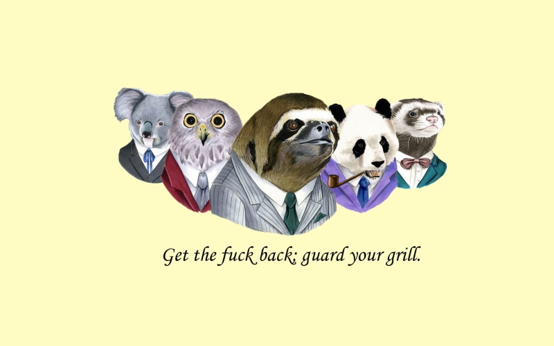 koala, weasel, owl, sloth, 1080P, wtf, panda, suit