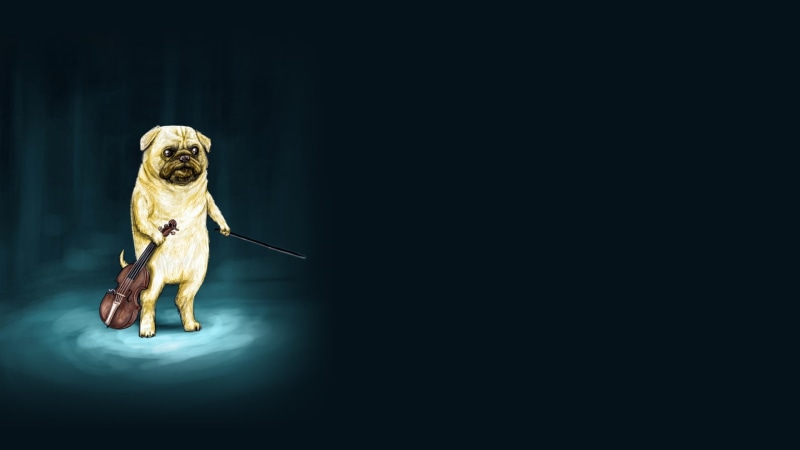 black background, humor, copy space, drawing, stage, domestic, fun, small, wtf, studio shot, music, lap dog, chihuahua - dog, Violin, mammal, dog, purebred dog