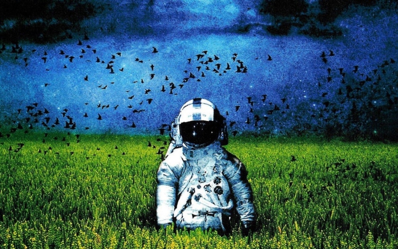 sci, people, work helmet, group of animals, headwear, grass, artwork, military, NASA, psychedelic, fi, astronaut, protection, space, field, 1080P, day