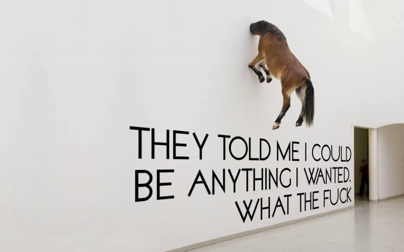 1080P, animals, wtf, typography, x, funny, text, wall, white, hd, art, horses