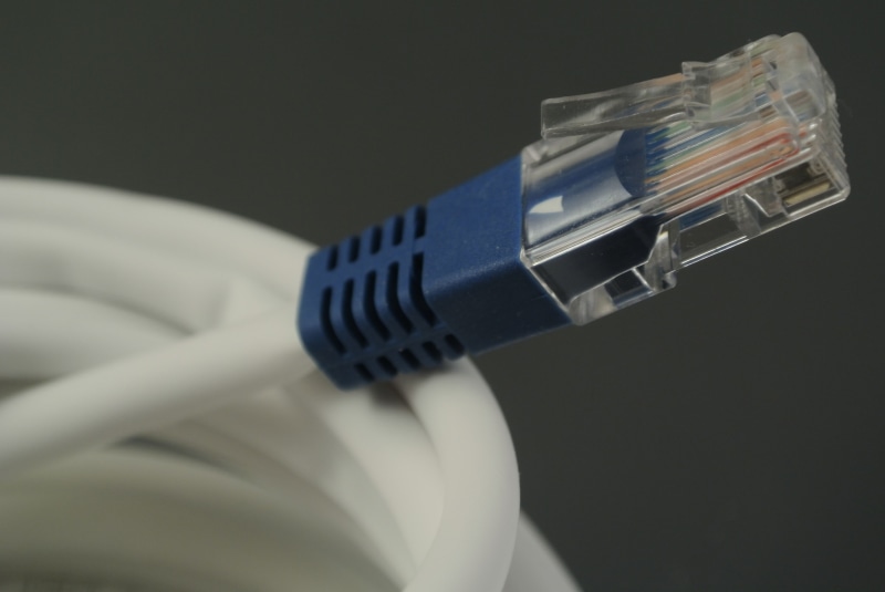 computer cable, internet, 4K, blue, close-up, network connection plug, technology, computer equipment, white, colored background, wireless technology