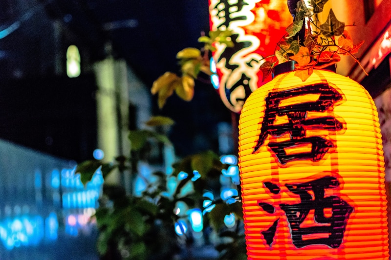 building exterior, outdoors, script, asia, illuminated, light, night, decoration, dark, leaves, no people, japan, celebration, chinese lantern, non-western script