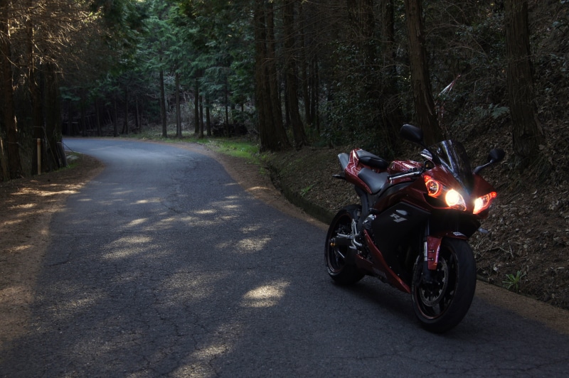 red, cruiser, leisure activity, plant, land Vehicle, crash helmet, forest, motorcycle Racing, ride, land, bike, outdoors, tree, one person, driving, sport